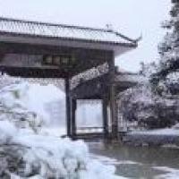 盛教员