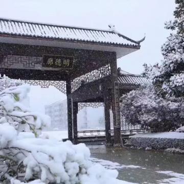 盛教员