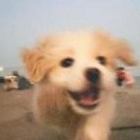 史教员