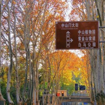 顾教员