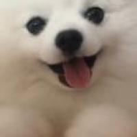 宋教员