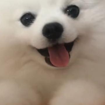 宋教员